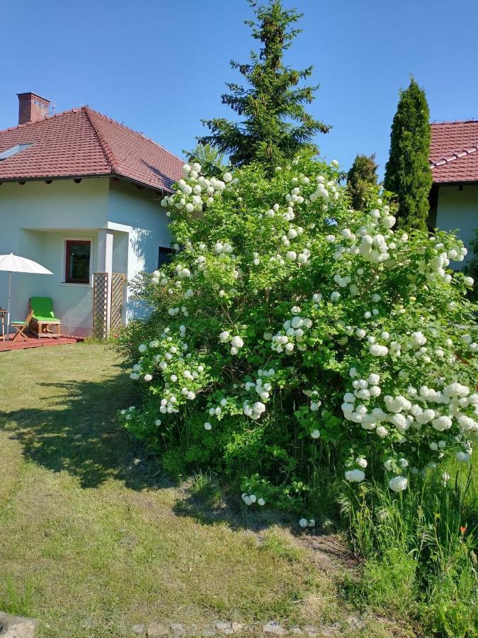 Apartamenty Zielona Gora Buitenkant foto