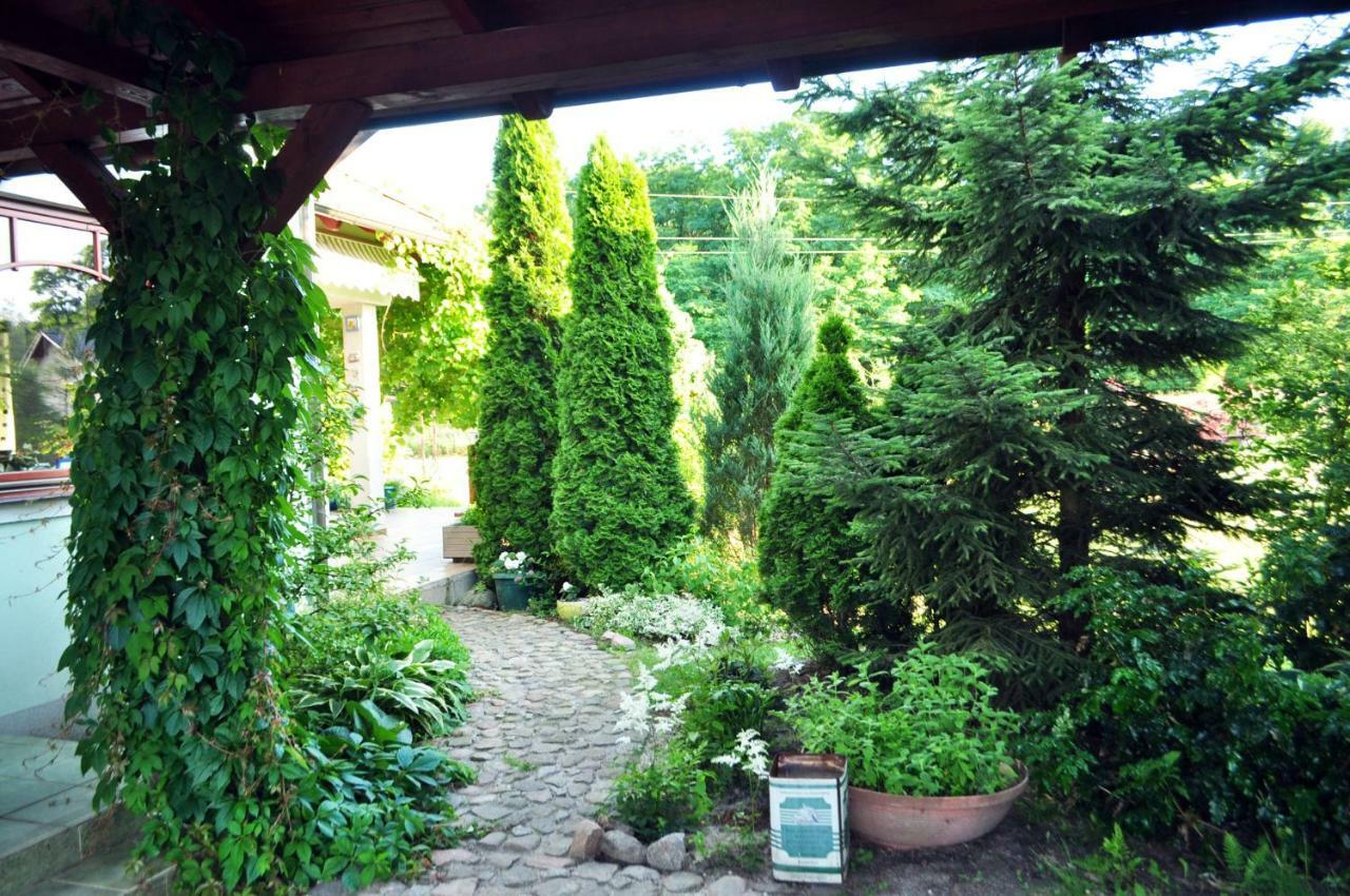 Apartamenty Zielona Gora Buitenkant foto