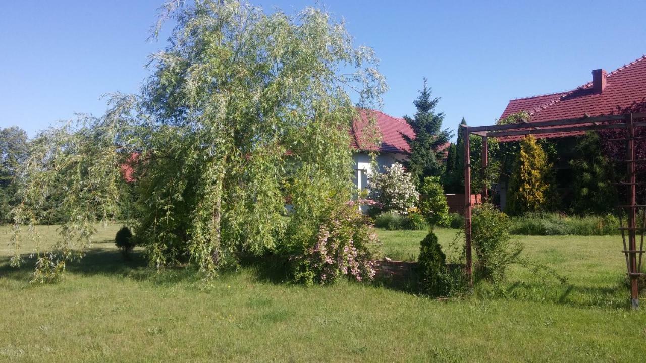 Apartamenty Zielona Gora Buitenkant foto